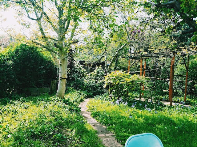 uk garden